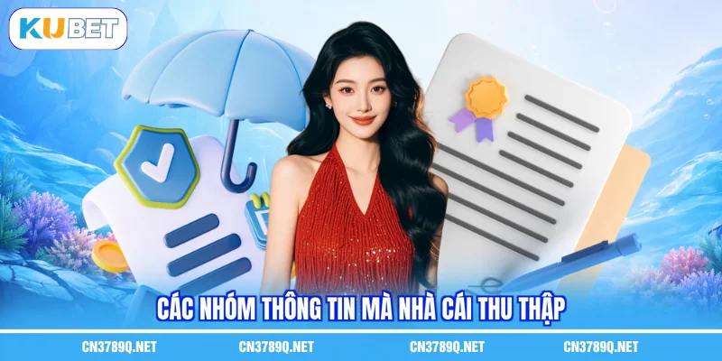 Các nhóm thông tin mà nhà cái thu thập Các nhóm thông tin mà nhà cái thu thập
