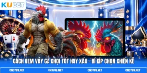 Cách Xem Vảy Gà Chọi Tốt Hay Xấu - Bí Kíp Chọn Chiến Kê