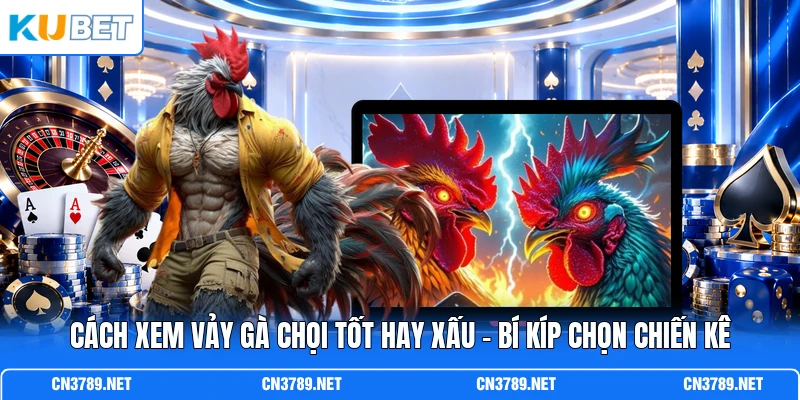 Cách Xem Vảy Gà Chọi Tốt Hay Xấu - Bí Kíp Chọn Chiến Kê