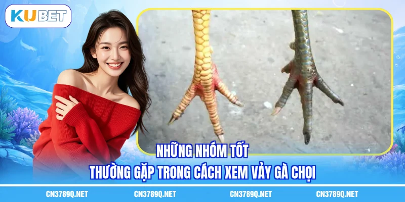 Những nhóm tốt thường gặp trong cách xem vảy gà chọi Những nhóm tốt thường gặp trong cách xem vảy gà chọi