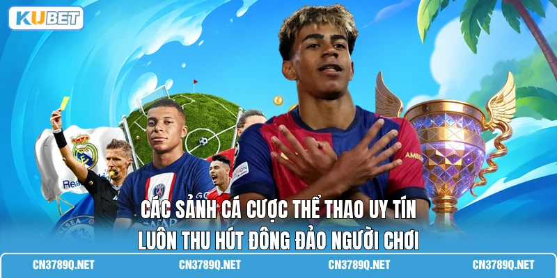 Các sảnh cá cược thể thao uy tín luôn thu hút đông đảo người chơi