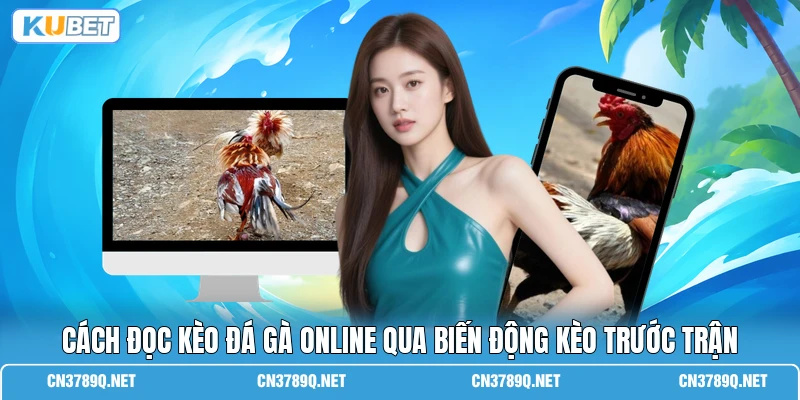 Cách đọc kèo đá gà online qua biến động kèo trước trận